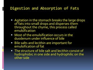 Digestion and Absorption of Fats Agitation in the stomach breaks the large drops of fats into small drops and disperses them throughout the chyme, this process called emulsification Most of the emulsification occurs in the duodenum under influence of bile Bile salts and lecithin are important for emulsification of fat The structure of bile salt and lecithin consist of hydrophobic in one side and hydrophilic on the other side 
