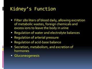 Kidney’s Function Filter 180 liters of blood daily, allowing excretion of metabolic wastes, foreign chemicals and excess ions to leave the body in urine Regulation of water and electrolyte balances  Regulation of arterial pressure  Regulation of acid-base balance  Secretion, metabolism, and excretion of hormones  Gluconeogenesis  