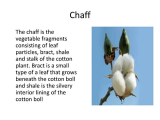 Chaff
The chaff is the
vegetable fragments
consisting of leaf
particles, bract, shale
and stalk of the cotton
plant. Bract...