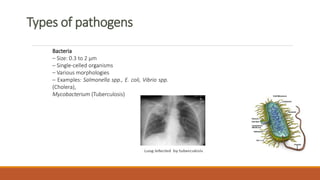 Lec 3 biological agents | PPTX