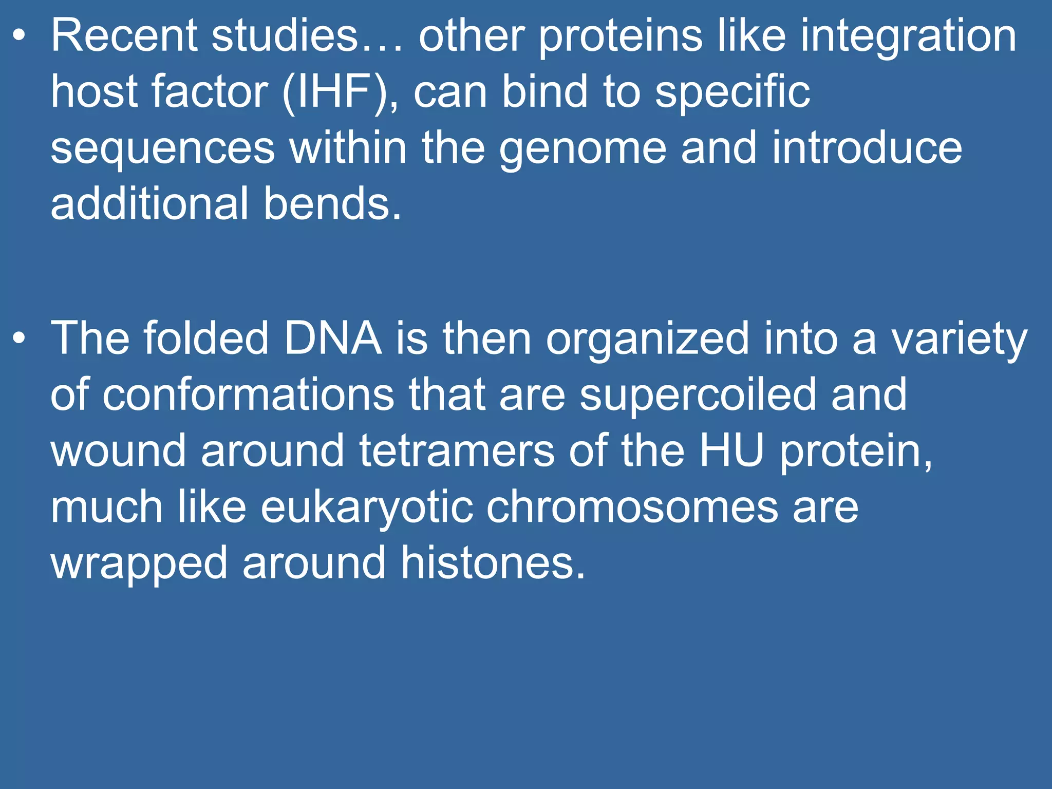 • Recent studies… other proteins like integration
host factor (IHF), can bind to specific
sequences within the genome and introduce
additional bends.
• The folded DNA is then organized into a variety
of conformations that are supercoiled and
wound around tetramers of the HU protein,
much like eukaryotic chromosomes are
wrapped around histones.
 