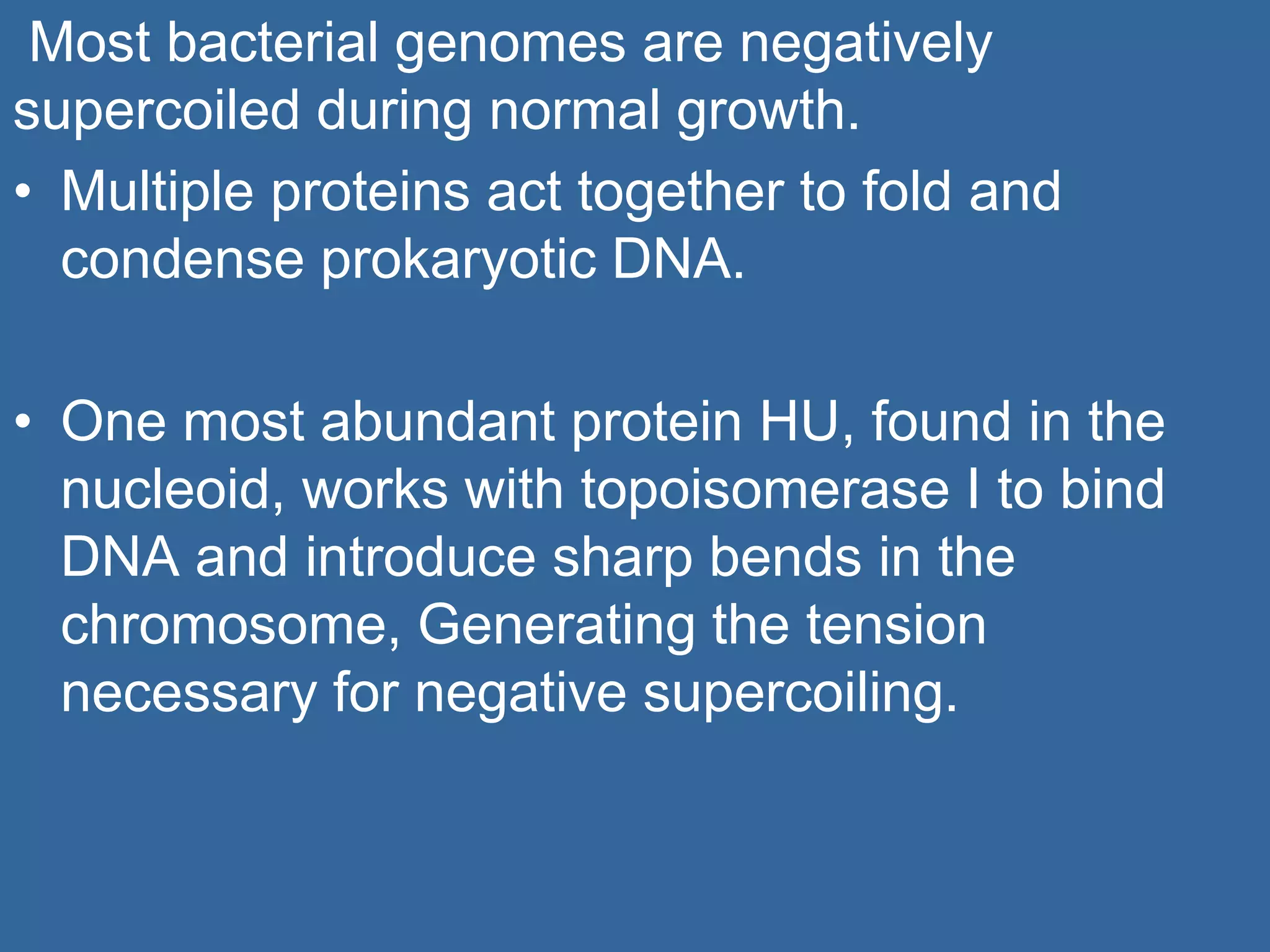 Most bacterial genomes are negatively
supercoiled during normal growth.
• Multiple proteins act together to fold and
condense prokaryotic DNA.
• One most abundant protein HU, found in the
nucleoid, works with topoisomerase I to bind
DNA and introduce sharp bends in the
chromosome, Generating the tension
necessary for negative supercoiling.
 