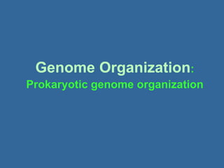 Genome Organization:
Prokaryotic genome organization
 