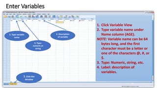 Enter Variables
11
1. Click this
Window
1. Click Variable View
2. Type variable name under
Name column (AGE).
NOTE: Variable name can be 64
bytes long, and the first
character must be a letter or
one of the characters @, #, or
$.
3. Type: Numeric, string, etc.
4. Label: description of
variables.
2. Type variable
name
3. Type:
numeric or
string
4. Description
of variable
 