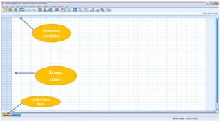 9
Columns:
variables
Rows:
cases
Under Data
View
 