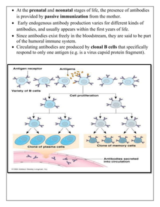 Lymphatic System and ANTIBODIES (Abs) and complement system | PDF