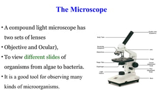 Microscope Method Methods for Studying microorganisms -.pptx