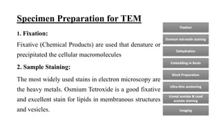 Microscope Sample Preparation Lec 3; Microscopy ALI.pptx