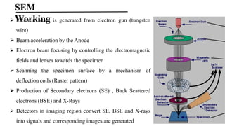 Sem Deflection Coils Lec 3; Microscopy ALI.pptx