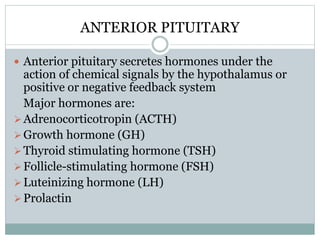 ANTERIOR PITUITARY
 Anterior pituitary secretes hormones under the
action of chemical signals by the hypothalamus or
positive or negative feedback system
Major hormones are:
Adrenocorticotropin (ACTH)
Growth hormone (GH)
Thyroid stimulating hormone (TSH)
Follicle-stimulating hormone (FSH)
Luteinizing hormone (LH)
Prolactin
 