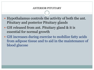 ANTERIOR PITUITARY
 Hypothalamus controls the activity of both the ant.
Pituitary and posterior Pituitary glands
 GH released from ant. Pituitary gland & it is
essential for normal growth
 GH increases during exercise to mobilize fatty acids
from adipose tissue and to aid in the maintenance of
blood glucose
 