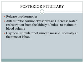 POSTERIOR PITUITARY
 Release two hormones
 Anti diuretic hormone(vasopressin) Increase water
reabsorption from the kidney tubules , to maintain
blood volume
 Oxytocin stimulator of smooth muscle , specially at
the time of labor.
 