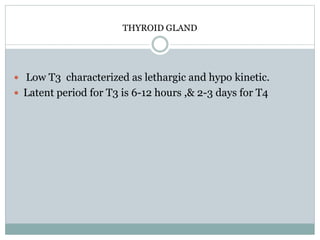 THYROID GLAND
 Low T3 characterized as lethargic and hypo kinetic.
 Latent period for T3 is 6-12 hours ,& 2-3 days for T4
 