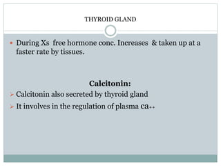 THYROID GLAND
 During Xs free hormone conc. Increases & taken up at a
faster rate by tissues.
Calcitonin:
 Calcitonin also secreted by thyroid gland
 It involves in the regulation of plasma ca++
 