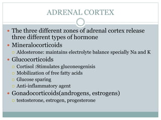 ADRENAL CORTEX
 The three different zones of adrenal cortex release
three different types of hormone
 Mineralocorticoids
 Aldosterone: maintains electrolyte balance specially Na and K
 Glucocorticoids
 Cortisol :Stimulates gluconeogenisis
 Mobilization of free fatty acids
 Glucose sparing
 Anti-inflammatory agent
 Gonadocorticoids(androgens, estrogens)
 testosterone, estrogen, progesterone
 