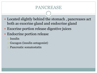 PANCREASE
 Located slightly behind the stomach , pancreases act
both as exocrine gland and endocrine gland
 Exocrine portion release digestive juices
 Endocrine portion release
 Insulin
 Gucagon (insulin antagonist)
 Pancreatic somatostatin
 
