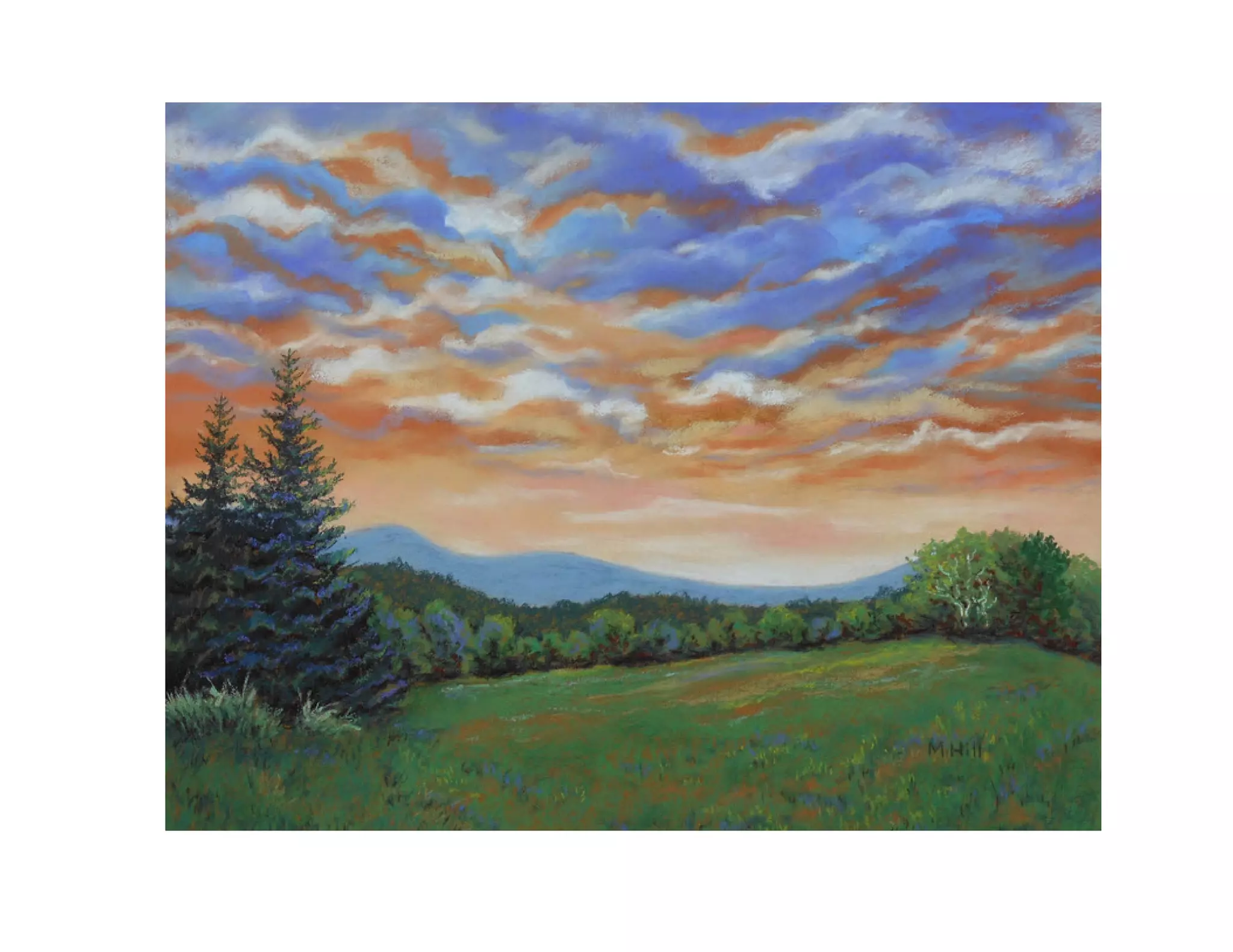 COOL COLORS
WARM COLORS
 