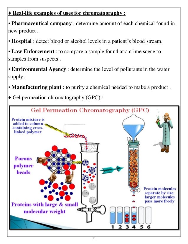 Biosynthetic reactions of amino acids and Gel Electrophoresis