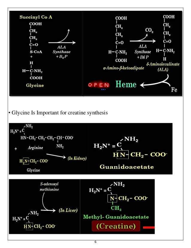 Biosynthetic reactions of amino acids and Gel Electrophoresis
