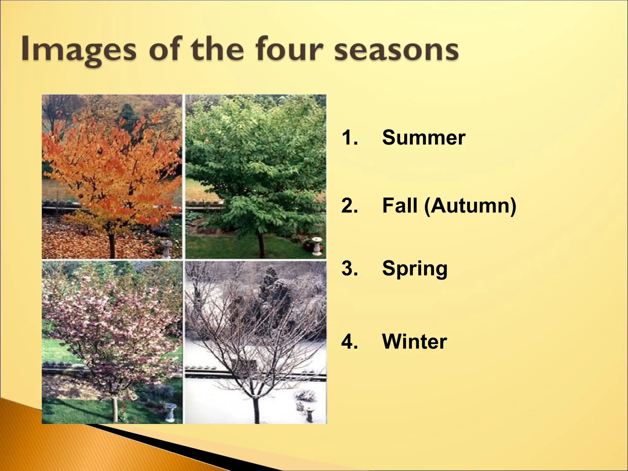 1. Summer
3. Spring
2. Fall (Autumn)
4. Winter
 