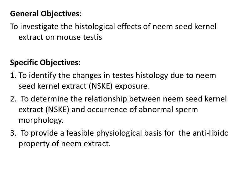 Literature review objectives examples image