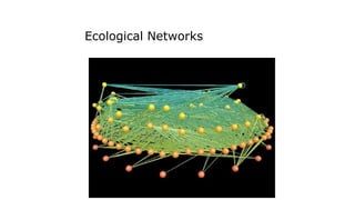 Ecological Networks
 