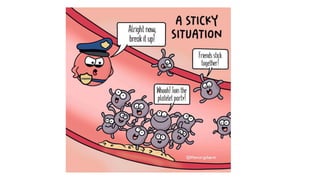 RBC DISORDERS – ANEMIA Hematology theory | PDF