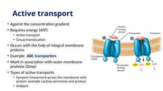 Microbiology and Virology - Lec4-10Feb26.pptx