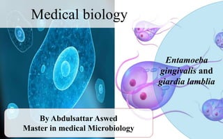 Medical biology
By Abdulsattar Aswed
Master in medical Microbiology
Entamoeba
gingivalis and
giardia lamblia
 