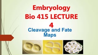 Cleavage and Fate
Maps
Embryology
Bio 415 LECTURE
4
 