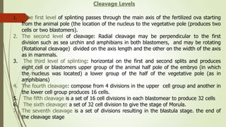 1. The first level of splinting passes through the main axis of the fertilized ova starting
from the animal pole (the location of the nucleus to the vegetative pole (produces two
cells or two blastomers).
2. The second level of cleavage: Radial cleavage may be perpendicular to the first
division such as sea urchin and amphibians in both blastomers, and may be rotating
(Rotational cleavage) divided on the axis length and the other on the width of the axis
as in mammals.
3. The third level of splinting: horizontal on the first and second splits and produces
eight cell or blastomers upper group of the animal half pole of the embryo (in which
the nucleus was located) a lower group of the half of the vegetative pole (as in
amphibians)
4. The fourth cleavage: compose from 4 divisions in the upper cell group and another in
the lower cell group produces 16 cells.
5. The fifth cleavage is a set of 16 cell divisions in each blastomear to produce 32 cells
6. The sixth cleavage: a set of 32 cell division to give the stage of Morula.
7. The seventh cleavage is a set of divisions resulting in the blastula stage. the end of
the cleavage stage
Cleavage Levels
 