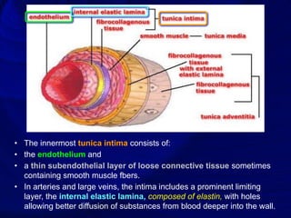 lec4.ppt.pdf