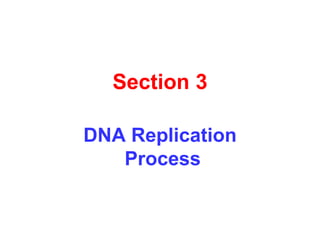 Section 3
DNA Replication
Process
 