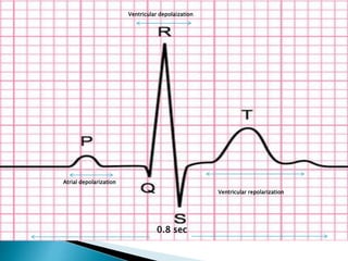 0.8 sec
Atrial depolarization
Ventricular depolaization
Ventricular repolarization
 