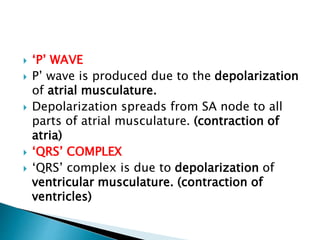  ‘P’ WAVE
 P’ wave is produced due to the depolarization
of atrial musculature.
 Depolarization spreads from SA node to all
parts of atrial musculature. (contraction of
atria)
 ‘QRS’ COMPLEX
 ‘QRS’ complex is due to depolarization of
ventricular musculature. (contraction of
ventricles)
 