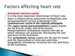  Autonomic nervous system
 It is the most important determinant of heart rate.
 Heart is influenced by autonomic (sympathetic and
parasympathetic) nerves originating in the
cardiovascular centre in the medulla oblongata.
 The vagus nerves (parasympathetic) supply mainly
the SA and AV nodes and atrial muscle.
Parasympathetic stimulation reduces the rate at
which impulses are produced, decreasing the rate
and force of the heartbeat.
 The sympathetic nerves supply the SA and AV nodes
and the myocardium of atria and ventricles.
Sympathetic stimulation increases the rate and force
of the heartbeat.
 
