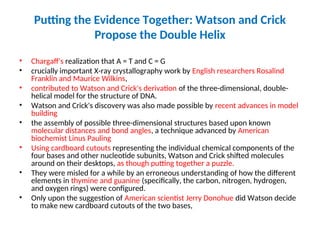 • Chargaff's realization that A = T and C = G
• crucially important X-ray crystallography work by English researchers Rosalind
Franklin and Maurice Wilkins,
• contributed to Watson and Crick's derivation of the three-dimensional, double-
helical model for the structure of DNA.
• Watson and Crick's discovery was also made possible by recent advances in model
building
• the assembly of possible three-dimensional structures based upon known
molecular distances and bond angles, a technique advanced by American
biochemist Linus Pauling
• Using cardboard cutouts representing the individual chemical components of the
four bases and other nucleotide subunits, Watson and Crick shifted molecules
around on their desktops, as though putting together a puzzle.
• They were misled for a while by an erroneous understanding of how the different
elements in thymine and guanine (specifically, the carbon, nitrogen, hydrogen,
and oxygen rings) were configured.
• Only upon the suggestion of American scientist Jerry Donohue did Watson decide
to make new cardboard cutouts of the two bases,
Putting the Evidence Together: Watson and Crick
Propose the Double Helix
 