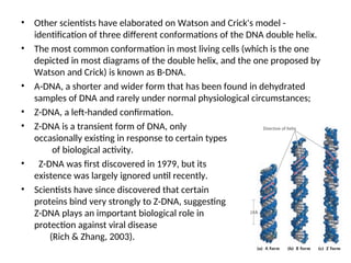 • Other scientists have elaborated on Watson and Crick's model -
identification of three different conformations of the DNA double helix.
• The most common conformation in most living cells (which is the one
depicted in most diagrams of the double helix, and the one proposed by
Watson and Crick) is known as B-DNA.
• A-DNA, a shorter and wider form that has been found in dehydrated
samples of DNA and rarely under normal physiological circumstances;
• Z-DNA, a left-handed confirmation.
• Z-DNA is a transient form of DNA, only
occasionally existing in response to certain types
of biological activity.
• Z-DNA was first discovered in 1979, but its
existence was largely ignored until recently.
• Scientists have since discovered that certain
proteins bind very strongly to Z-DNA, suggesting that
Z-DNA plays an important biological role in
protection against viral disease
(Rich & Zhang, 2003).
 