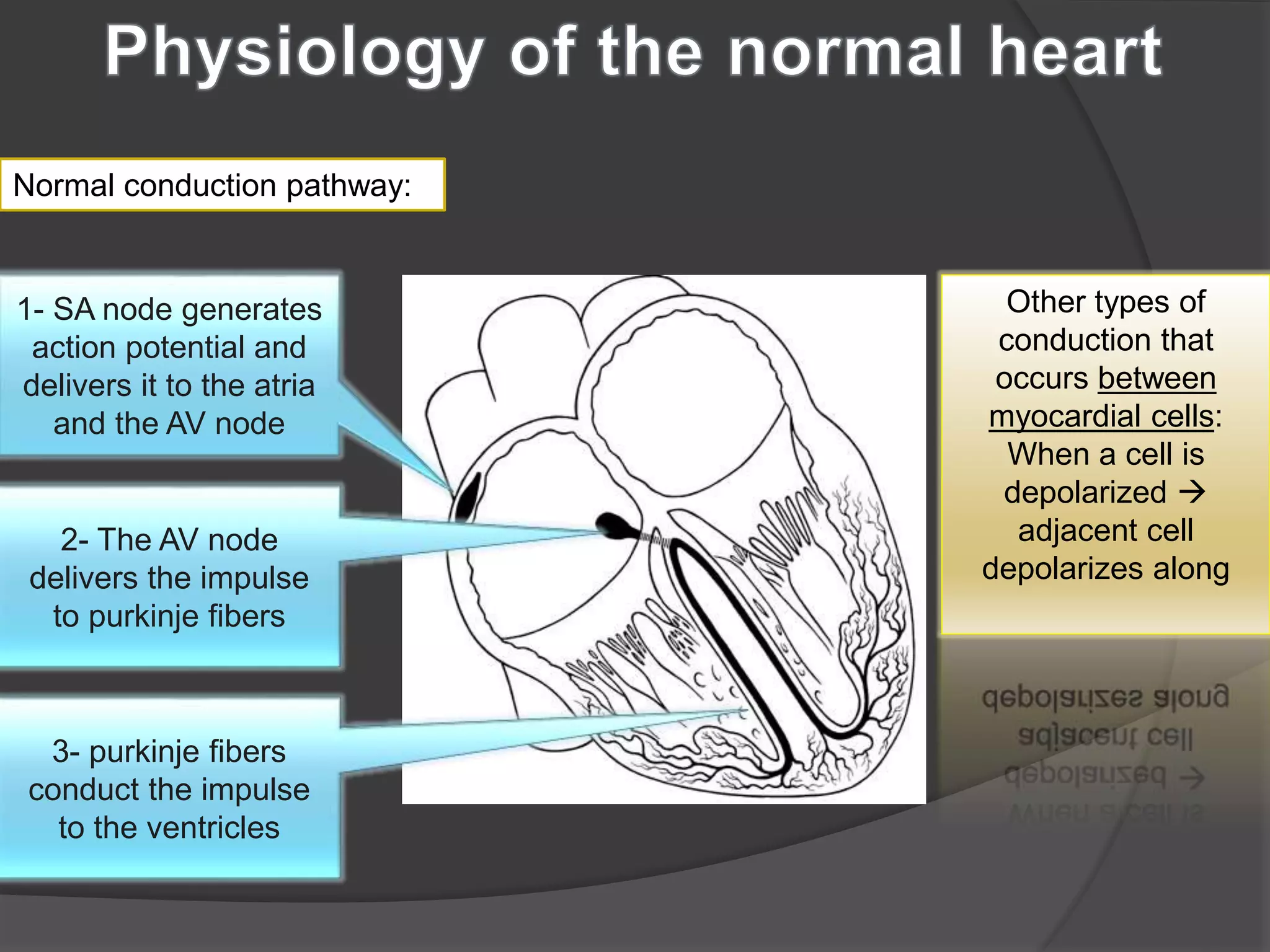 Antiarrhythmic_drugs | PPT