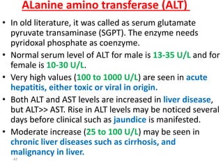 Lec 4 level 3-de (enzymes, coenzymes, cofactors) | PDF