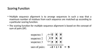 Scoring Function
• Multiple sequence alignment is to arrange sequences in such a way that a
maximum number of residues from each sequence are matched up according to
a particular scoring function.
• The scoring function for multiple sequence alignment is based on the concept of
sum of pairs (SP).
 