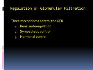 Regulation of Glomerular Filtration Three mechanisms control the GFR   Renal autoregulation  Sympathetic control Hormonal control 