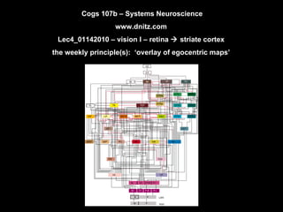 Cogs 107b – Systems Neuroscience www.dnitz.com Lec4_01142010 – vision I – retina    striate cortex the weekly principle(s):  ‘overlay of egocentric maps’ 