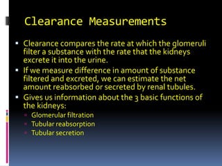 Clearance Measurements Clearance compares the rate at which the glomeruli filter a substance with the rate that the kidneys excrete it into the urine. If we measure difference in amount of substance filtered and excreted, we can estimate the net amount reabsorbed or secreted by renal tubules. Gives us information about the 3 basic functions of the kidneys: Glomerular filtration Tubular reabsorption Tubular secretion 