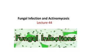 Fungal Infection and Actinomycosis
Lecture-44
 