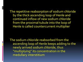 The repetitive reabsorption of sodium chloride by the thick ascending loop of Henle and continued inflow of new sodium chloride from the proximal tubule into the loop of Henle is called countercurrent multiplier The sodium chloride reabsorbed from the ascending loop of Henle keeps adding to the newly arrived sodium chloride, thus “multiplying” its concentration in the medullary interstitium 