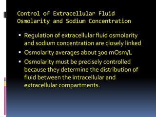 Control of Extracellular Fluid Osmolarity and Sodium Concentration Regulation of extracellular fluid osmolarity and sodium concentration are closely linked  Osmolarity averages about 300 mOsm/L Osmolarity must be precisely controlled because they determine the distribution of fluid between the intracellular and extracellular compartments. 