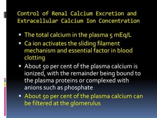 Control of Renal Calcium Excretion and Extracellular Calcium Ion Concentration The total calcium in the plasma 5 mEq/L Ca ion activates the sliding filament mechanism and essential factor in blood clotting About 50 per cent of the plasma calcium is ionized, with the remainder being bound to the plasma proteins or complexed with anions such as phosphate About 50 per cent of the plasma calcium can be filtered at the glomerulus 