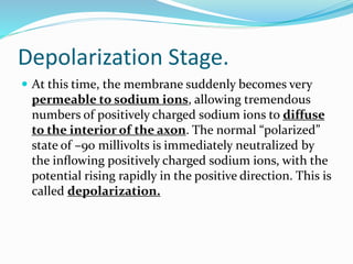 Depolarization Stage.
 At this time, the membrane suddenly becomes very
permeable to sodium ions, allowing tremendous
numbers of positively charged sodium ions to diffuse
to the interior of the axon. The normal “polarized”
state of –90 millivolts is immediately neutralized by
the inﬂowing positively charged sodium ions, with the
potential rising rapidly in the positive direction. This is
called depolarization.
 