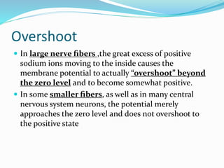 Overshoot
 In large nerve ﬁbers ,the great excess of positive
sodium ions moving to the inside causes the
membrane potential to actually “overshoot” beyond
the zero level and to become somewhat positive.
 In some smaller ﬁbers, as well as in many central
nervous system neurons, the potential merely
approaches the zero level and does not overshoot to
the positive state
 